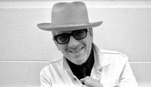 Elvis Costello Photo Credit - ray  di pietro