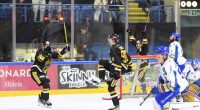 Thanks to the fans of Nottingham Panthers, the team has chosen Framework as its Charity of the Year for the 2024/25 season. The Nottingham-based charity which supports homeless and vulnerable […]